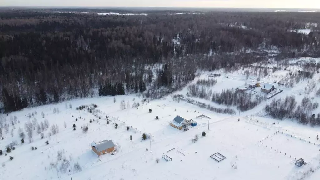 Участок в Томская область, Томский район, Новые Вешки ДНТ ул. ... - Фото 2
