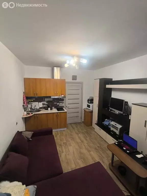 Квартира-студия: Кудрово, Английская улица, 2 (20 м) - Фото 2
