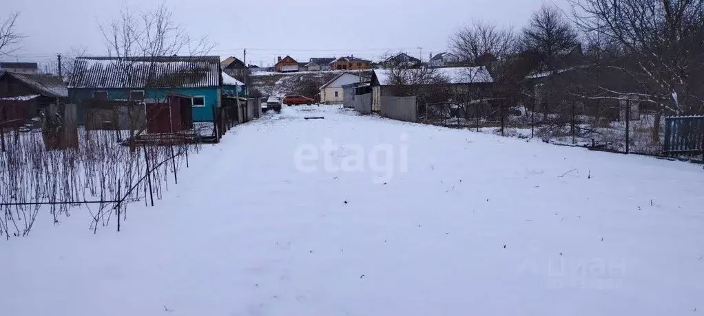 Участок в Белгородская область, Алексеевский городской округ, с. ... - Фото 1