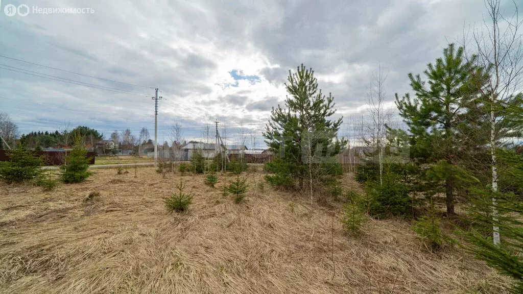 Участок в Наро-Фоминский городской округ, дачный посёлок Парус, ... - Фото 1