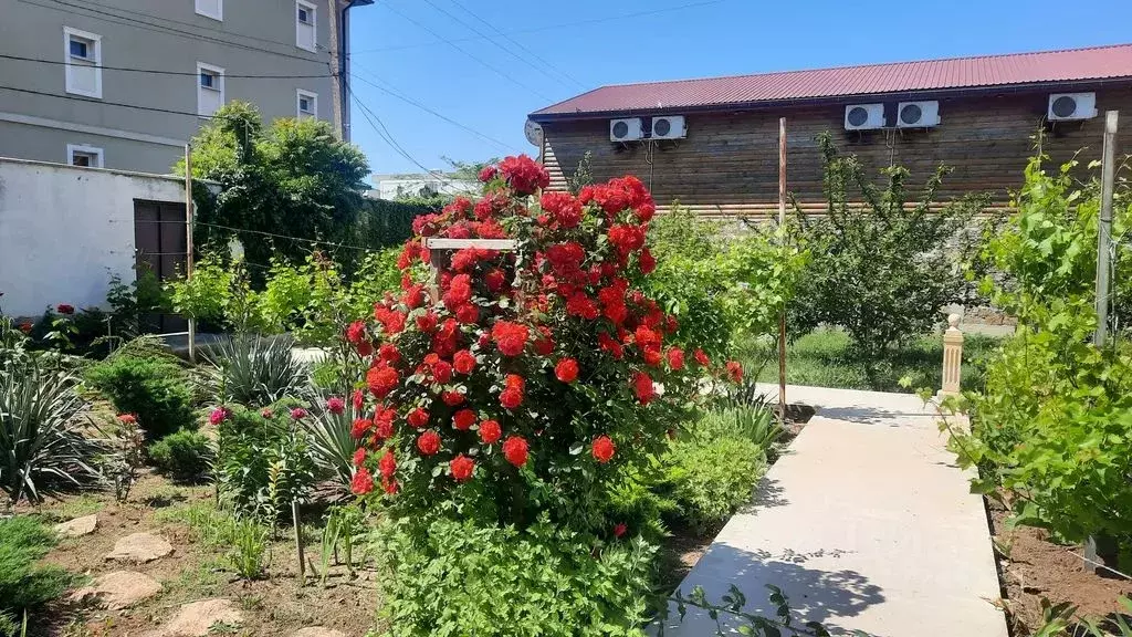 Дом в Крым, Сакский район, с. Штормовое ул. Морская, 12А (28 м) - Фото 1