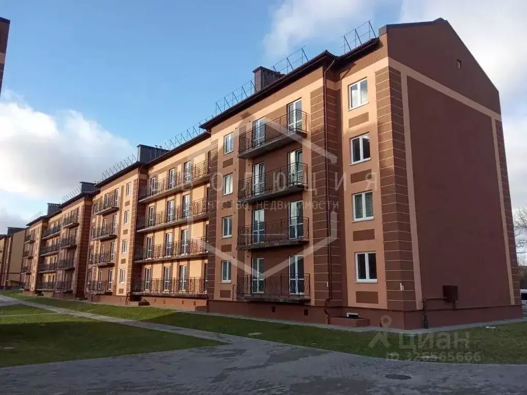 1-к кв. Калининградская область, Зеленоградский муниципальный округ, ... - Фото 1