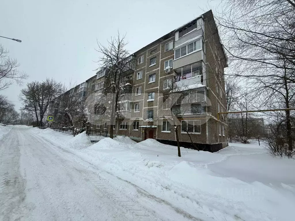 1-к кв. Московская область, Воскресенск городской округ, с. Конобеево ... - Фото 1