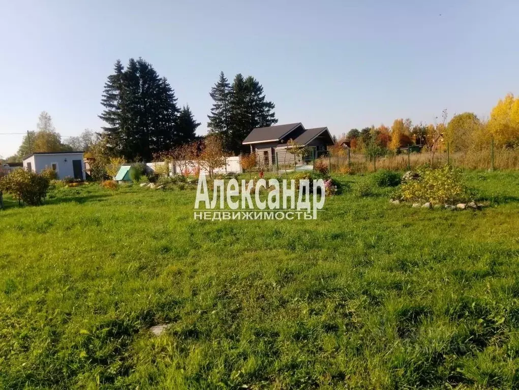 Участок в Ленинградская область, Приозерский район, Ларионовское ... - Фото 2
