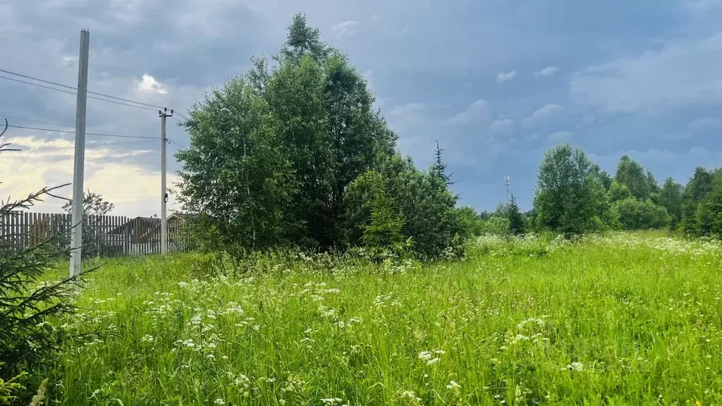 Участок в Московская область, Дмитровский муниципальный округ, д. ... - Фото 1