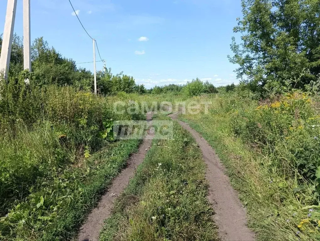 Участок в Пензенская область, Бессоновский район, с. Чемодановка ул. ... - Фото 1