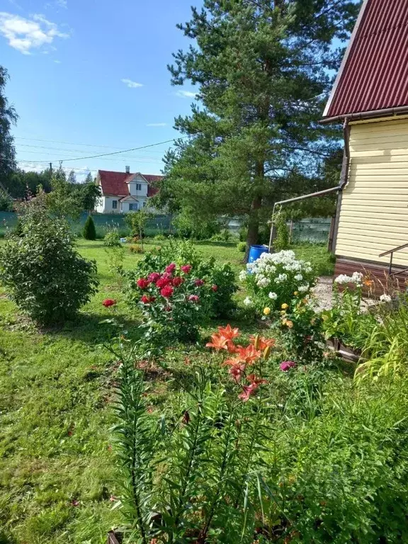 Дом в Ленинградская область, Ломоносовский район, Лопухинское с/пос, ... - Фото 1