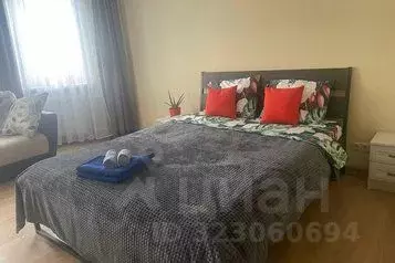 1-к кв. Московская область, Домодедово Центральный мкр, проезд ... - Фото 1