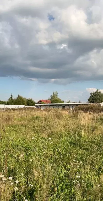 Участок в Московская область, Истра муниципальный округ, д. Чесноково ... - Фото 2