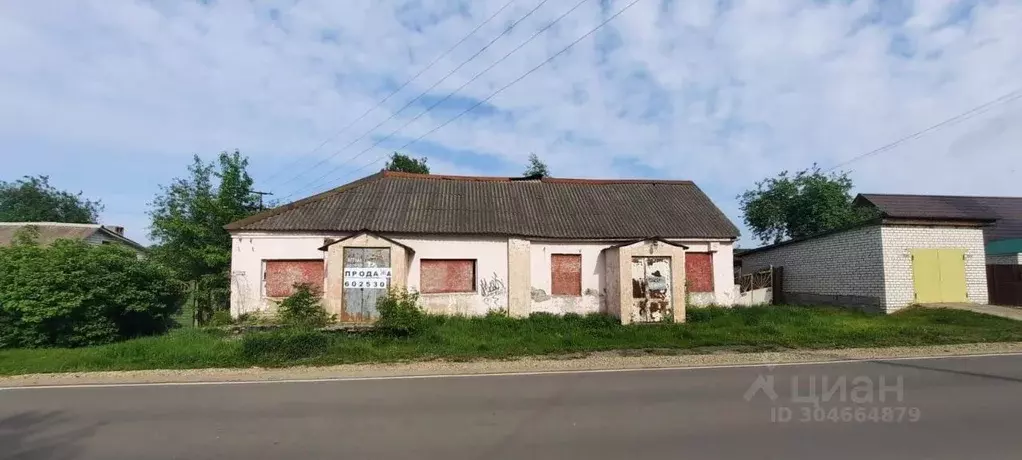 Помещение свободного назначения в Брянская область, Брянск ул. ... - Фото 1