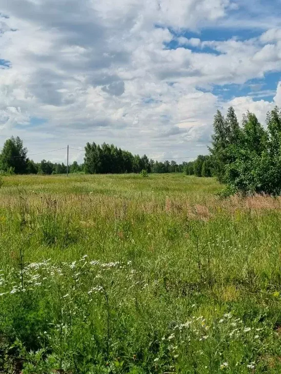 Участок в Челябинская область, Копейск  (8.6 сот.) - Фото 2