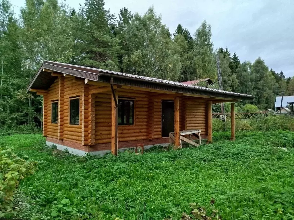 Дом в Удмуртия, Завьяловский район, Север СНТ 553 (54 м) - Фото 2
