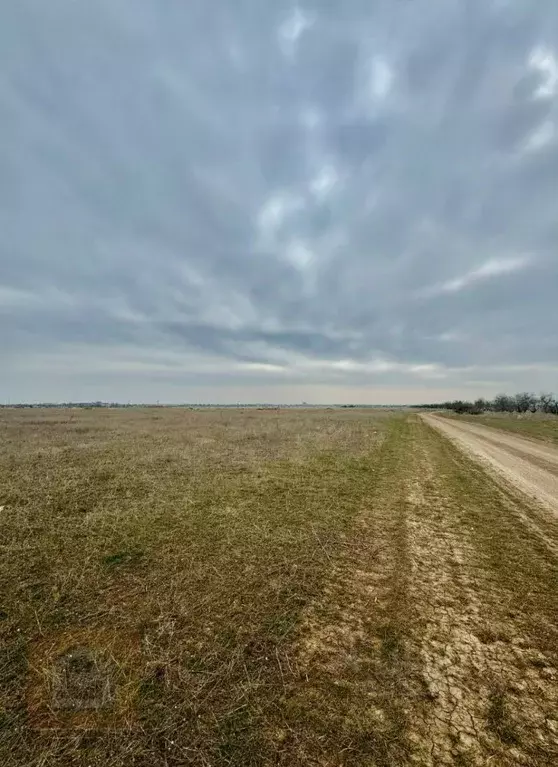 Участок в Крым, Сакский район, с. Уютное ул. Миндальная (8.0 сот.) - Фото 2