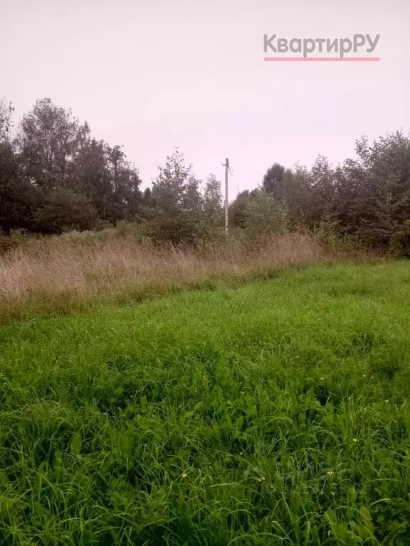 Участок в Ленинградская область, Всеволожский район, Имени Свердлова ... - Фото 1