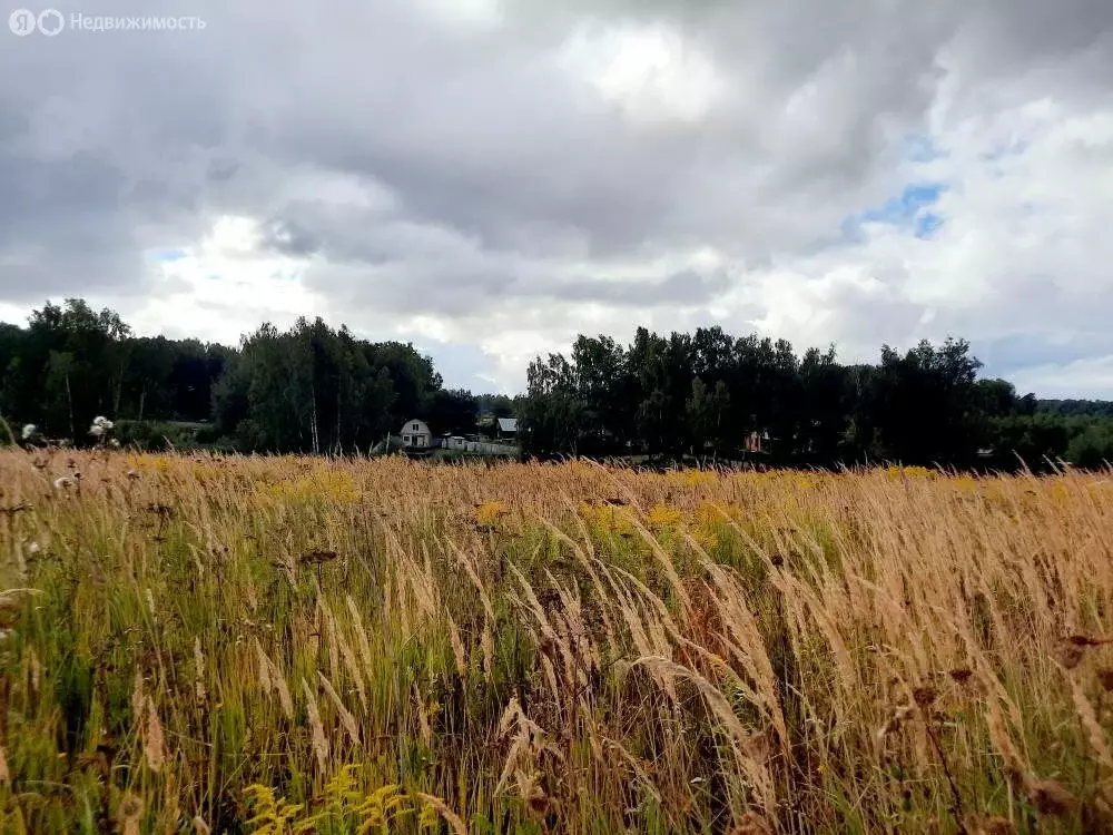 Участок в Московская область, городской округ Серпухов, село Липицы ... - Фото 0