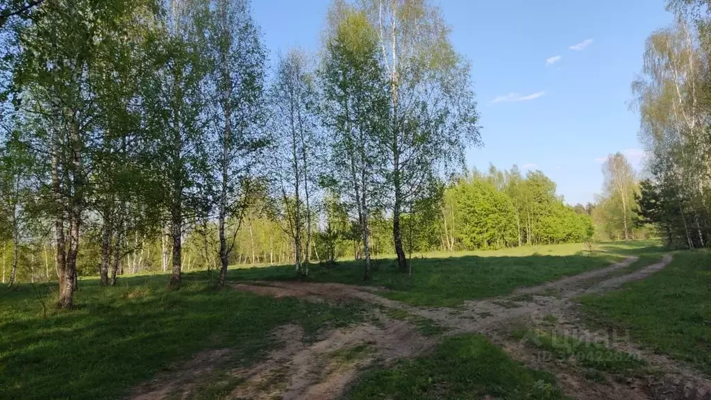 Участок в Московская область, Сергиево-Посадский городской округ, с. ... - Фото 0