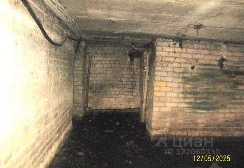 Помещение свободного назначения в Нижегородская область, Нижний ... - Фото 1