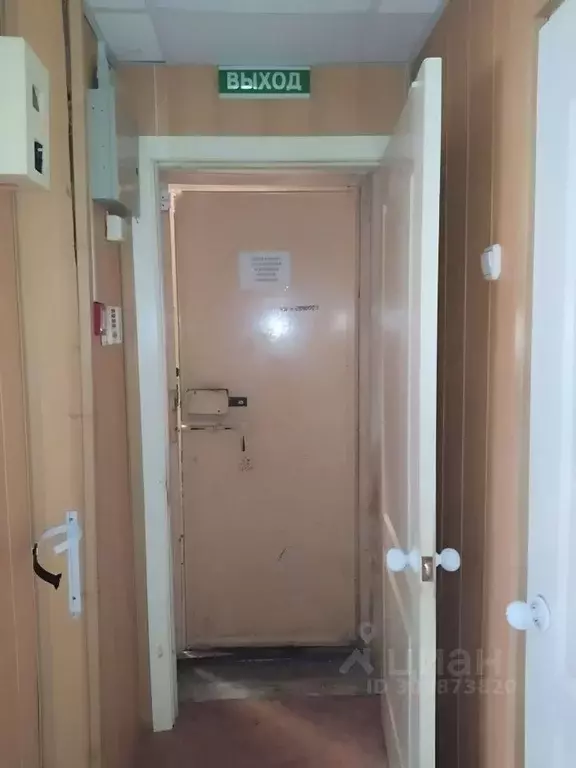 Помещение свободного назначения в Пермский край, Березники ул. ... - Фото 0
