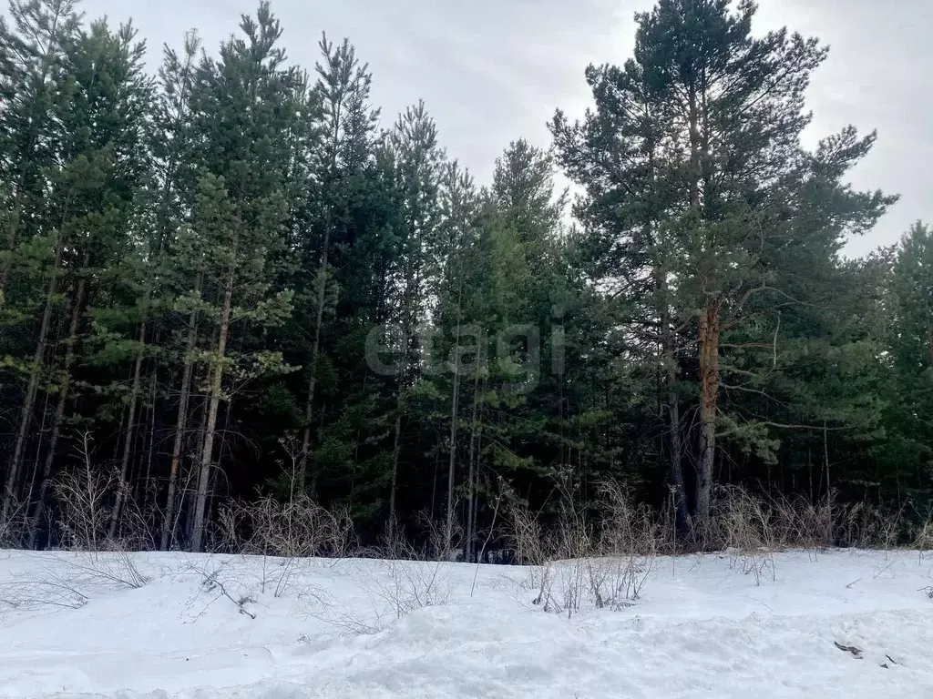 Участок, 15 сот., поселения (ижс) - Фото 1