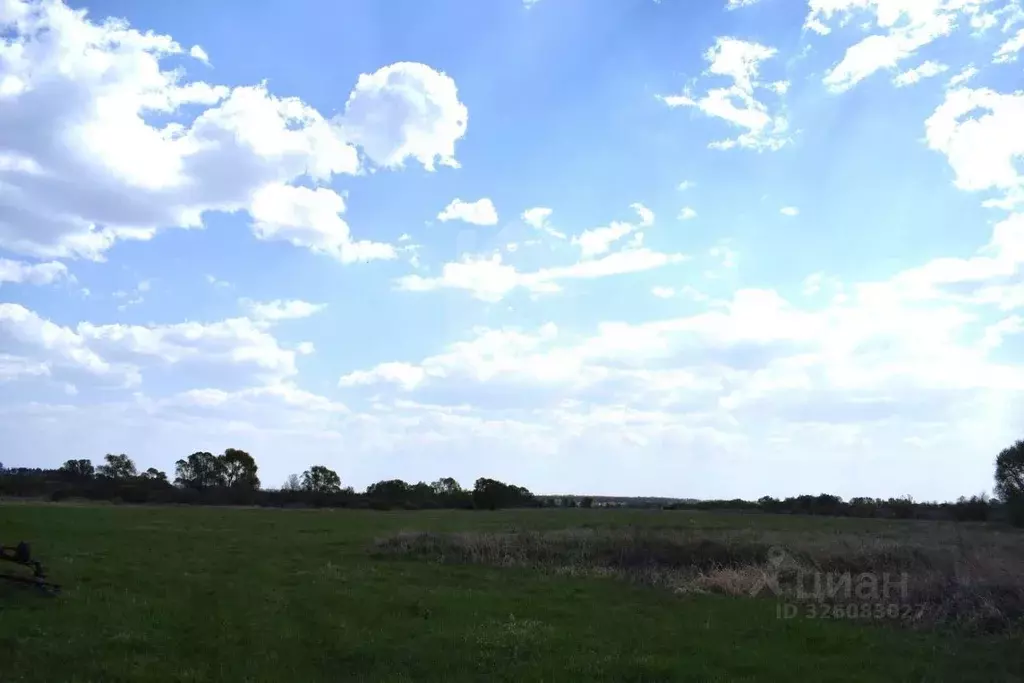 Участок в Воронежская область, Рамонский район, Горожанское с/пос, д. ... - Фото 1