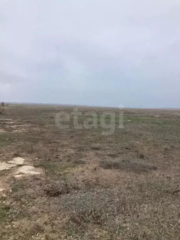 Участок в Крым, Первомайский район, Гришинское с/пос, с. Фрунзе  ... - Фото 1