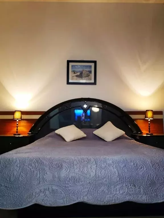 Комната Санкт-Петербург ул. Союза печатников, 4 (30.0 м) - Фото 1