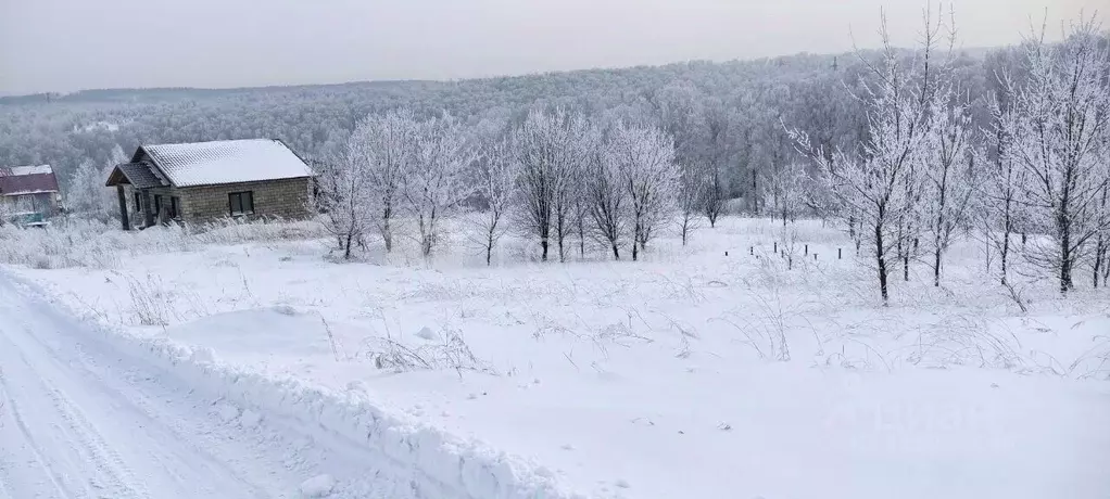 Участок в Кемеровская область, Новокузнецкий муниципальный округ, пос. ... - Фото 1