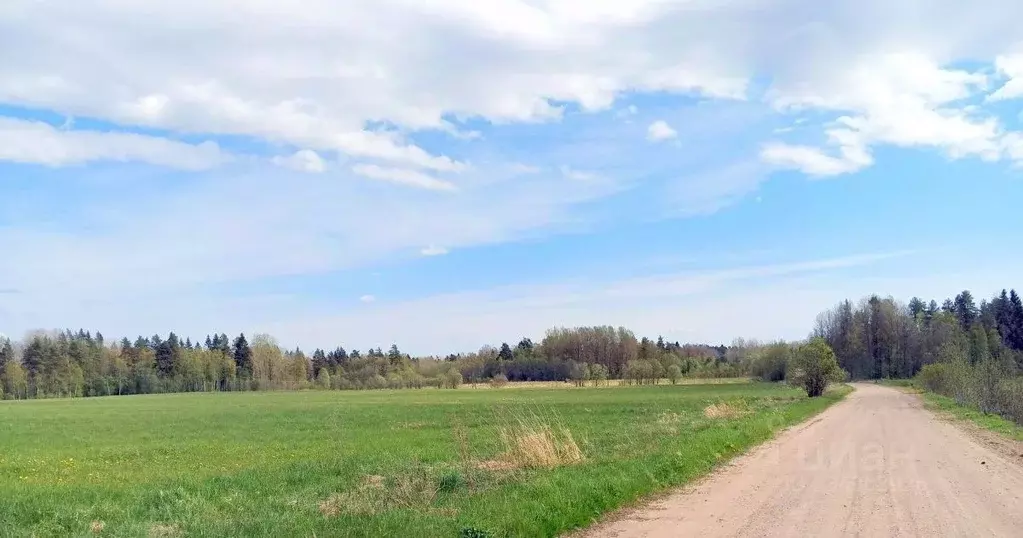 Участок в Ленинградская область, Выборгский район, Красносельское ... - Фото 1