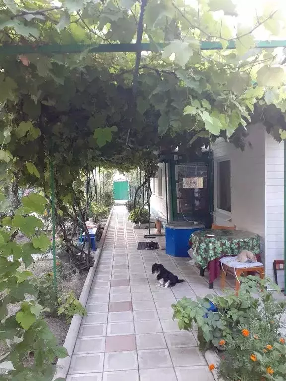 Дом в Краснодарский край, Ейский район, Должанская ст-ца ул. Калинина, ... - Фото 0