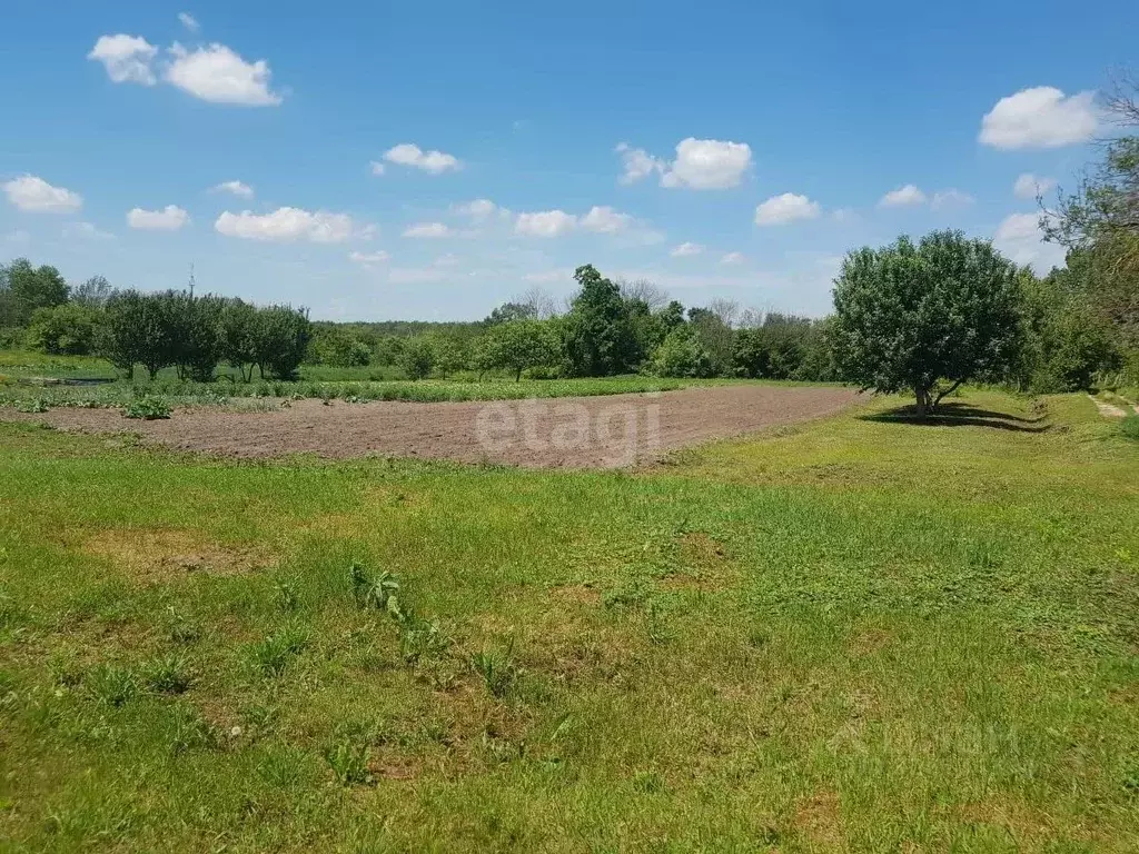 Участок в Воронежская область, Рамонский район, Карачунское с/пос, с. ... - Фото 1