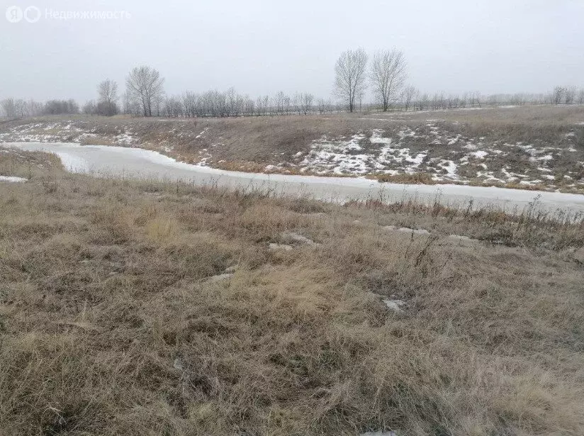 Участок в Алтайский район, село Макарьевка (13 м) - Фото 1