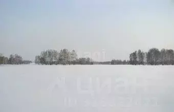 Участок в Свердловская область, Белоярский муниципальный округ, д. ... - Фото 0
