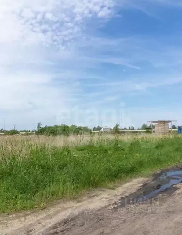 Участок в Тюменская область, Тюмень Рябинка-2 СНТ, 144 (8.3 сот.) - Фото 1
