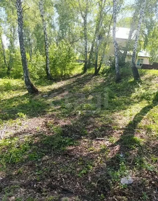 Дом в Алтайский край, Первомайский район, с. Санниково, Мирный мкр 34 ... - Фото 1