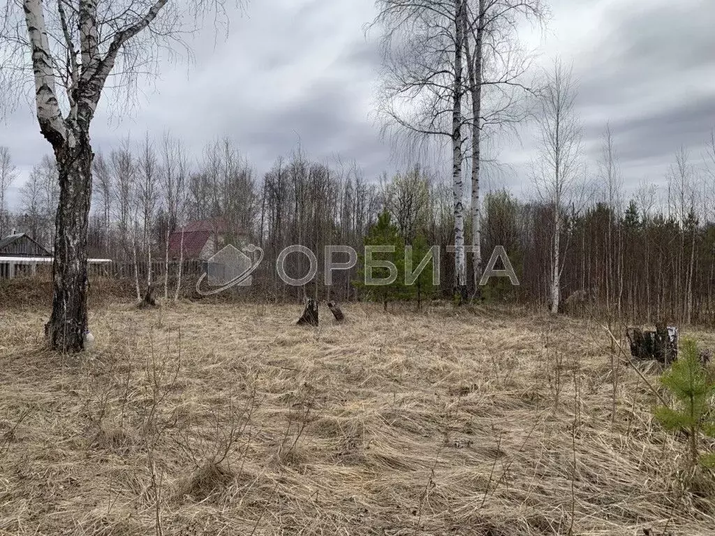 Участок в Тюменская область, Нижнетавдинский район, Сочинские СНТ 17-я ... - Фото 0