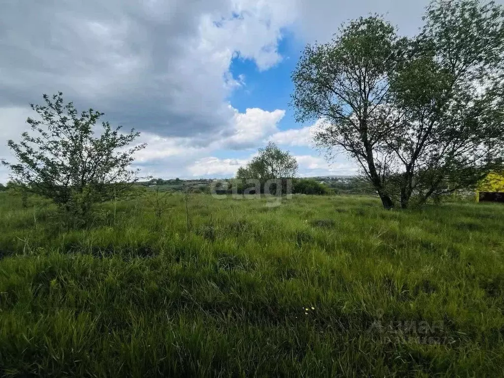 Участок в Воронежская область, Рамонский район, с. Русская Гвоздевка ... - Фото 1