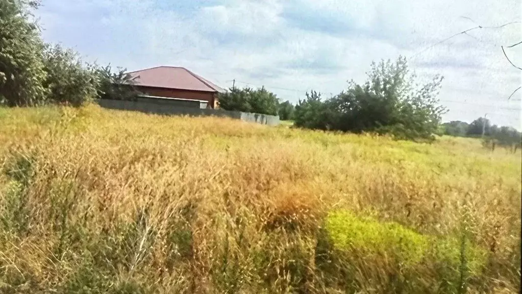 Участок в Ростовская область, Песчанокопский район, Развильненское ... - Фото 1