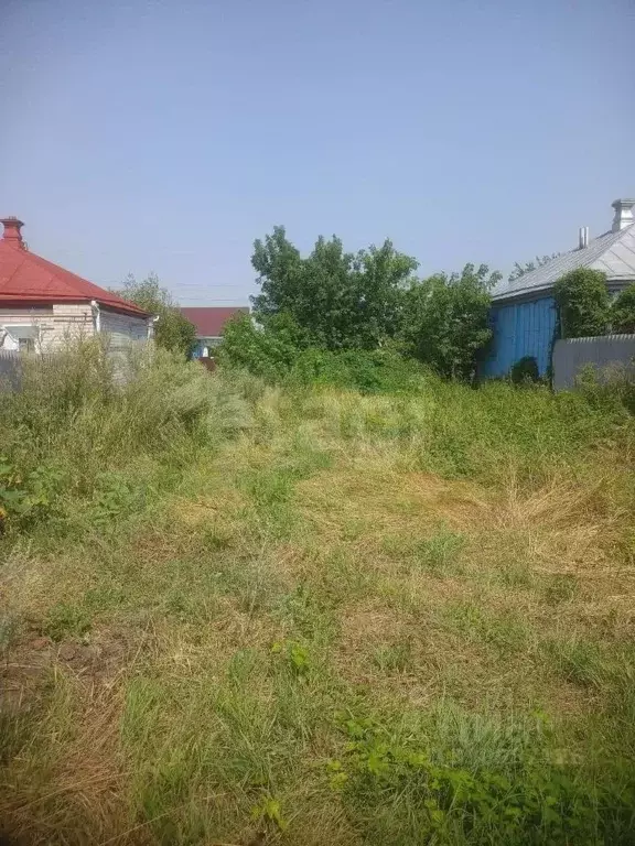 Участок в Белгородская область, Алексеевский муниципальный округ, с. ... - Фото 2