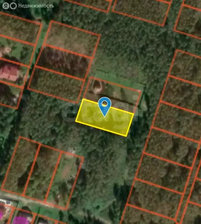 Участок в Нижегородская область, Вачский муниципальный округ, село ... - Фото 2