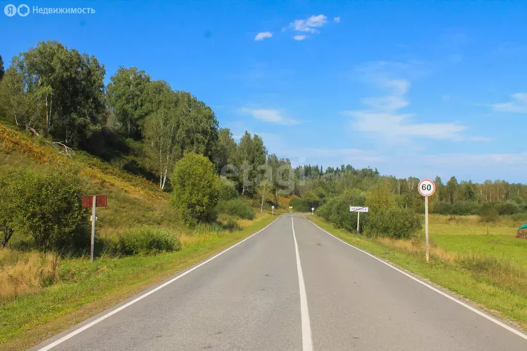 Участок в Чойский район, Паспаульское сельское поселение, село ... - Фото 1