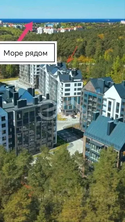 1-к кв. Калининградская область, Светлогорск Новая ул., 22к2 (39.0 м) - Фото 0