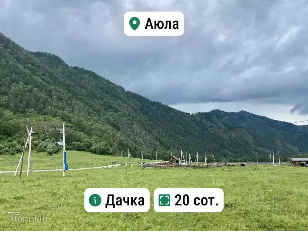 Участок в Алтай, Чемальский район, с. Аюла Центральная ул. (20.0 сот.) - Фото 1