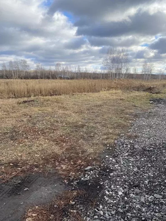 Участок в Курганская область, Кетовский муниципальный округ, с. ... - Фото 2