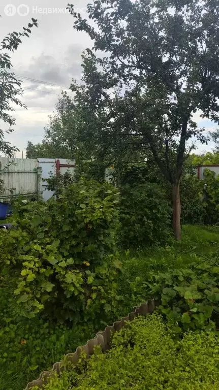 Участок в Фокино, улица Чапаева (16.3 м) - Фото 1
