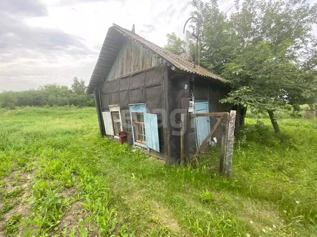 Участок в Курганская область, Щучанский муниципальный округ, с. Каясан ... - Фото 1