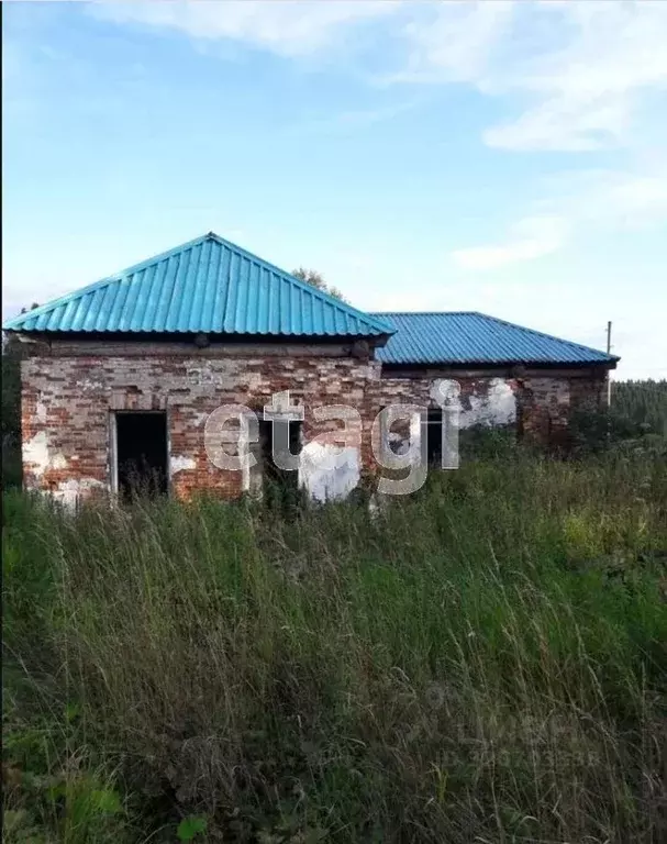 Дом в Свердловская область, Нижний Тагил муниципальный округ, с. ... - Фото 0
