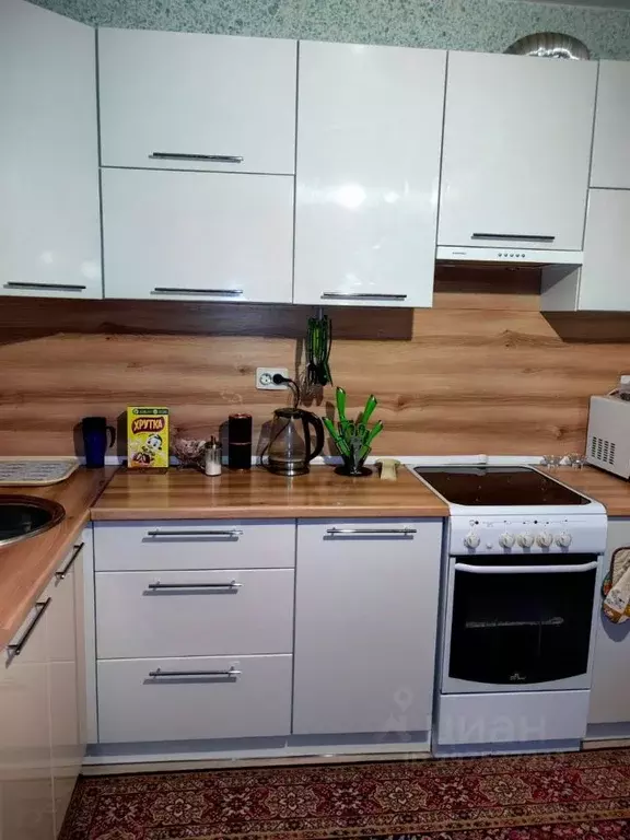 1-к кв. Омская область, Омский район, пос. Ростовка ул. Михаила ... - Фото 2