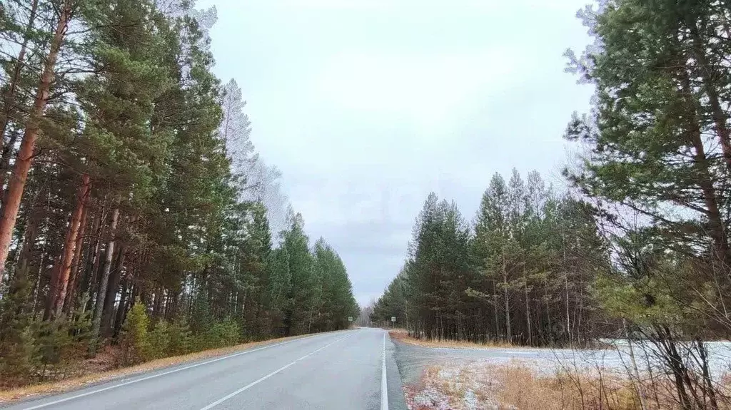 Участок в Тюменская область, Нижнетавдинский муниципальный округ, ... - Фото 1