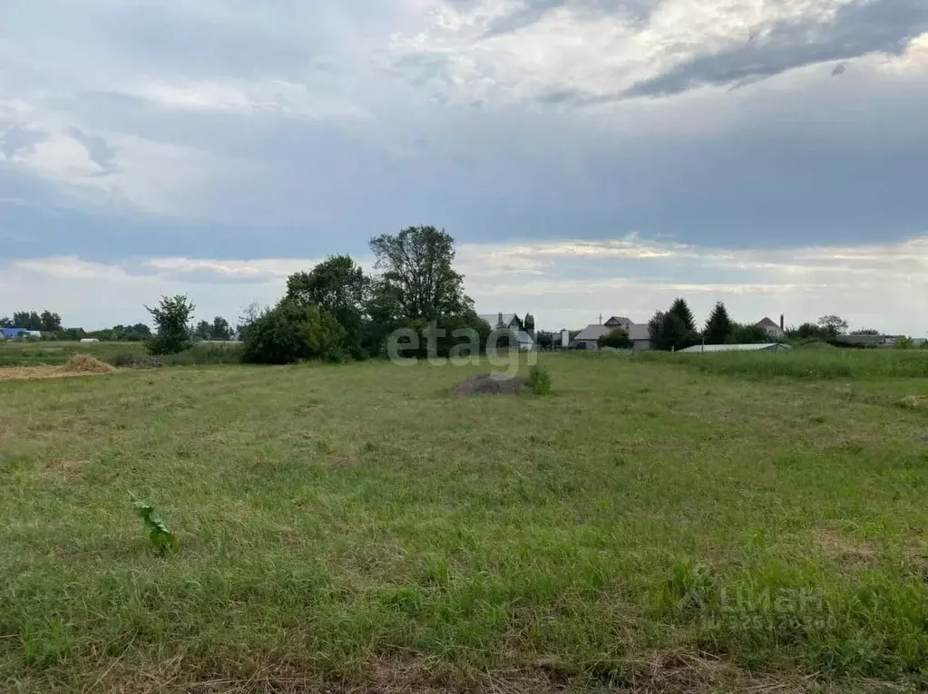 Участок в Липецкая область, с. Доброе ул. Калинина, 179 (20.5 сот.) - Фото 1