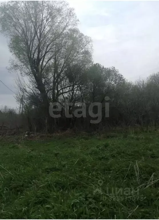 Участок в Калужская область, Козельский муниципальный округ, Деревня ... - Фото 2